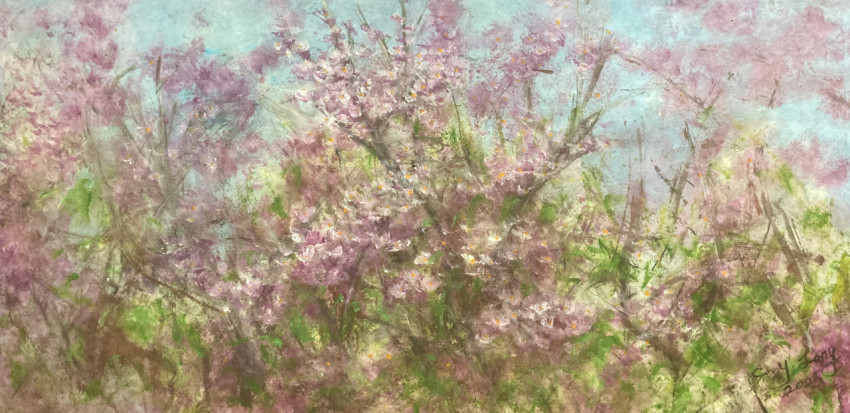 Purple Flower Trees
