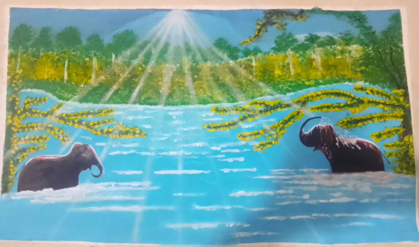 Elephants 2