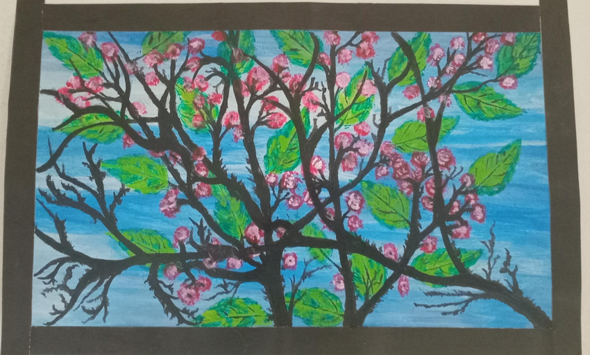 Sakura Breeze
