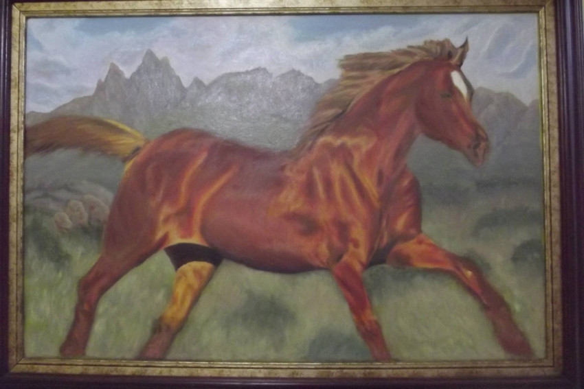 caballo de la Sabana