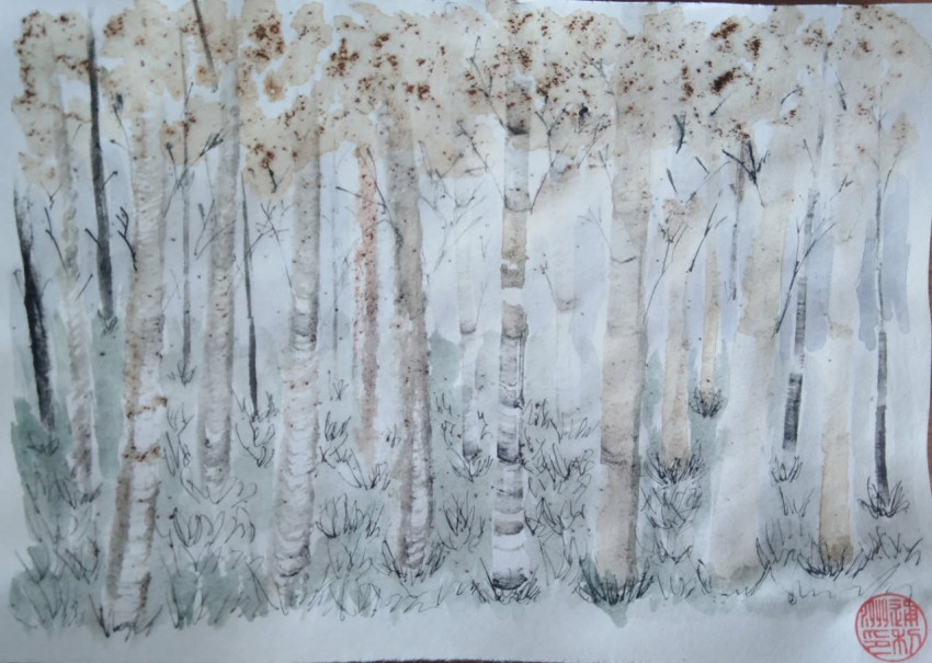 Coffee forest III