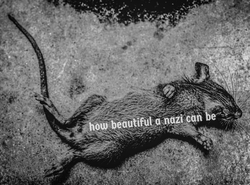 beautiful © Quetzalyis Van Luft