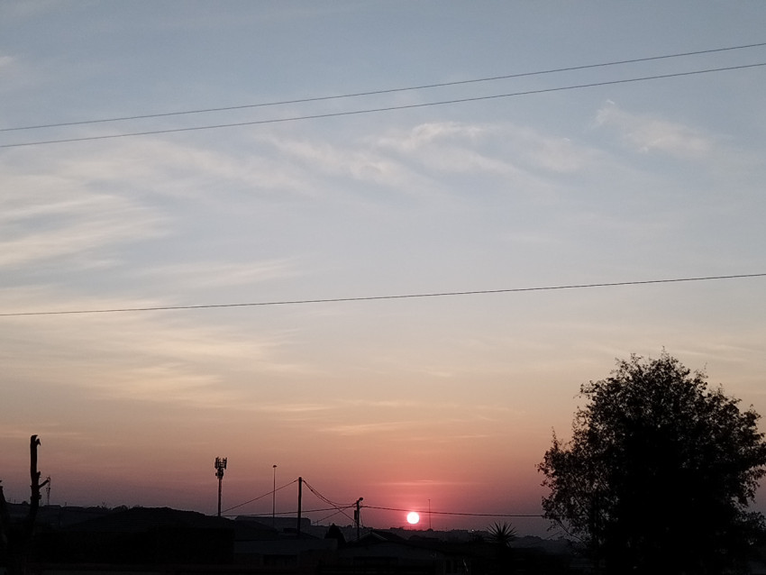 Morning