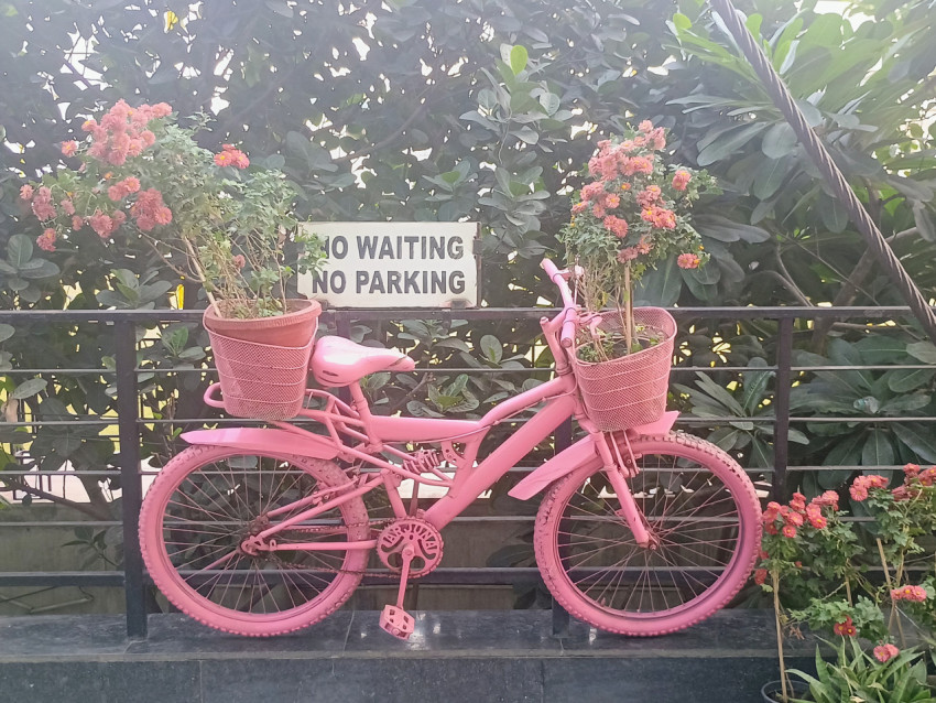 Bicycle
