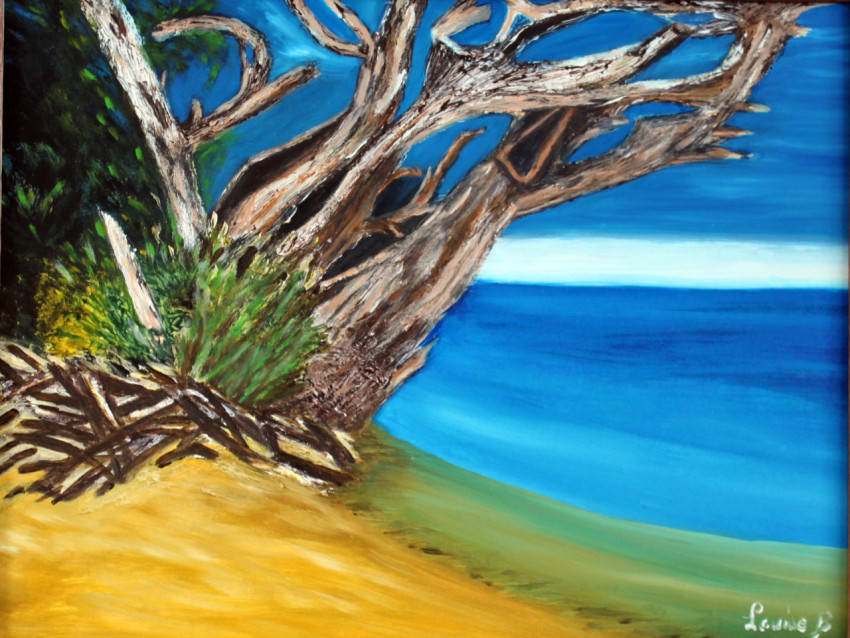 Arbre en bord de mer
