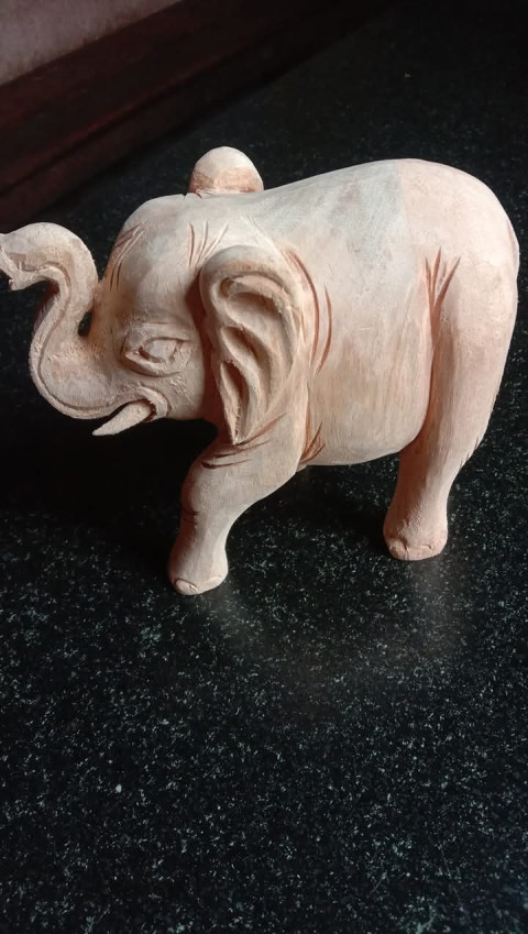 1000001538
