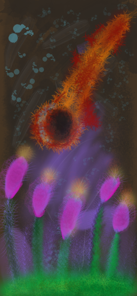 HALLEYS COMET