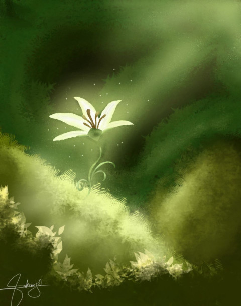 Lily
