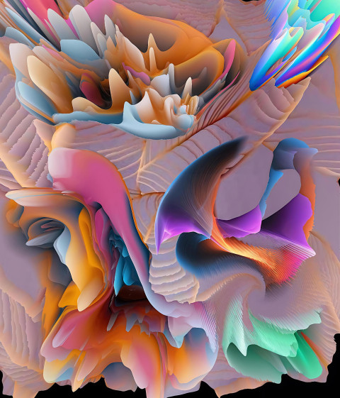 1000082527
