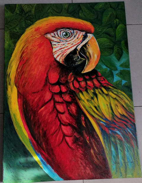 Parrot