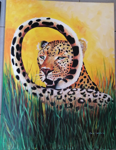 Leopard
