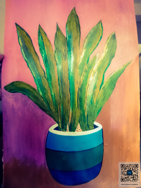 Minimalist Plant