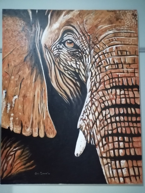Elephant