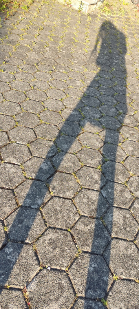 IMG 20250611 202813
