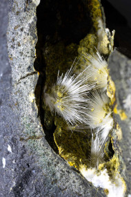 Natrolite