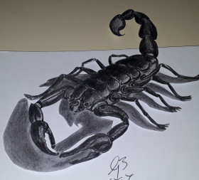 3D Scorpion