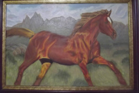 caballo de la Sabana