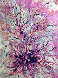 eclosion