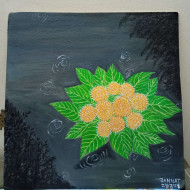 Floating Kadam Blossoms