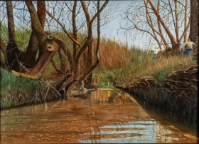 kifissos   69 X 49
