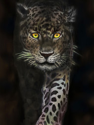 leopardo