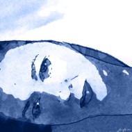 Marion