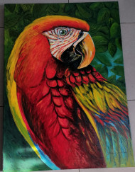 Parrot
