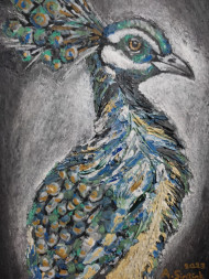 Peacock
