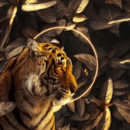tigre neon