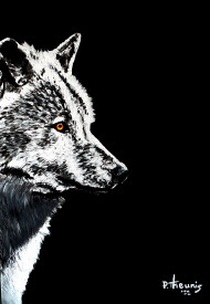 White Wolf